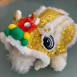Cat Chinese Lion Costume
